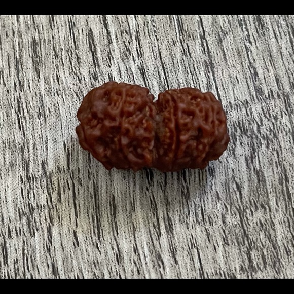 Certifired Gaurishankar Rudraksha Bead - Picture 2 of 3